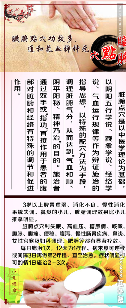 养生脏腑点穴展架