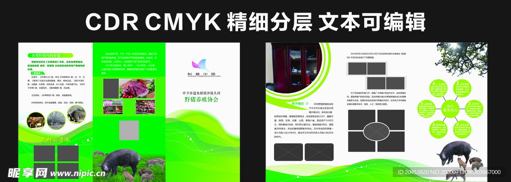 农业折页 野猪 养殖 绿色