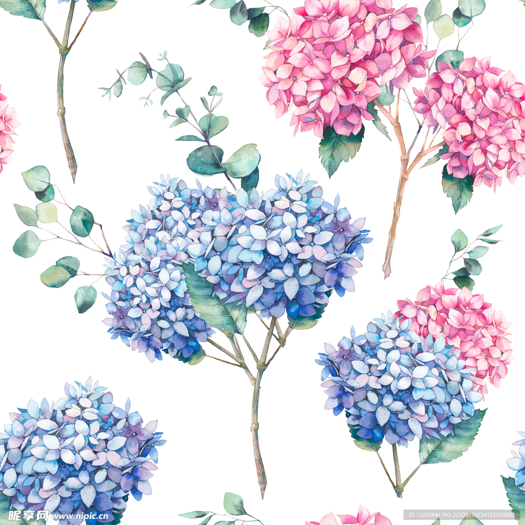 水彩绣球花桉树叶