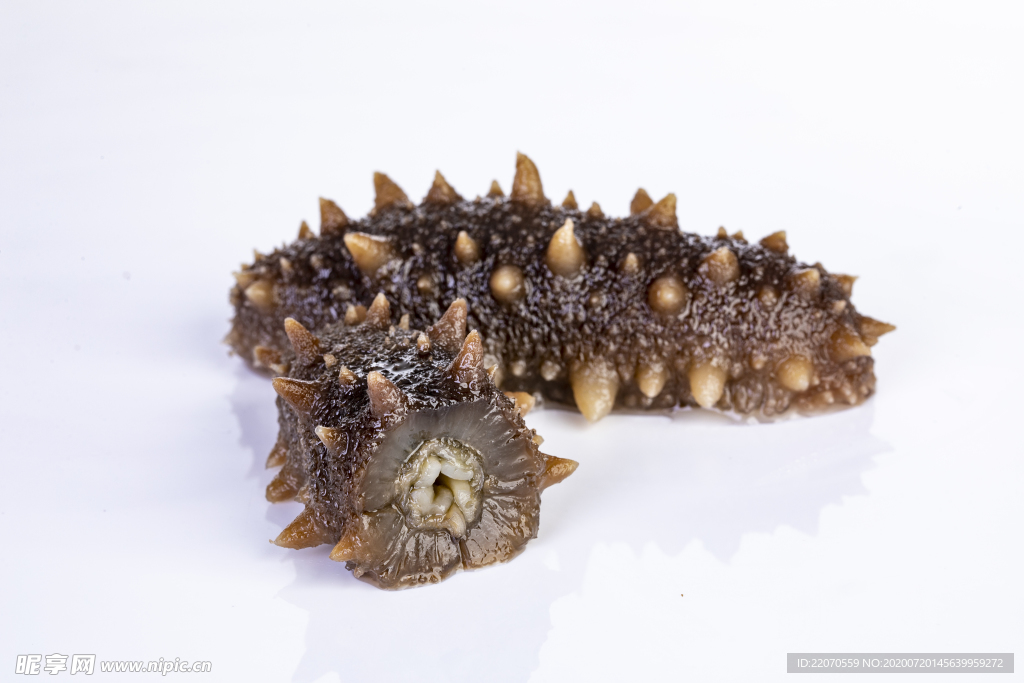 即食海参切开图