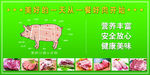 猪肉背景