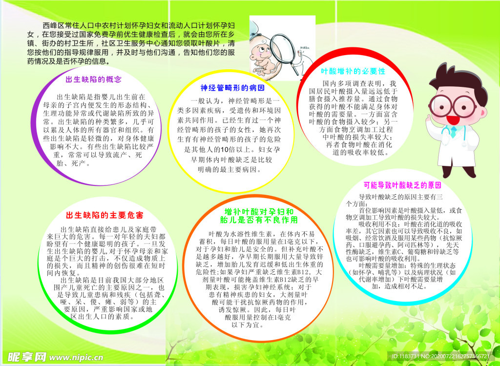 预防出生缺陷增补叶酸图片