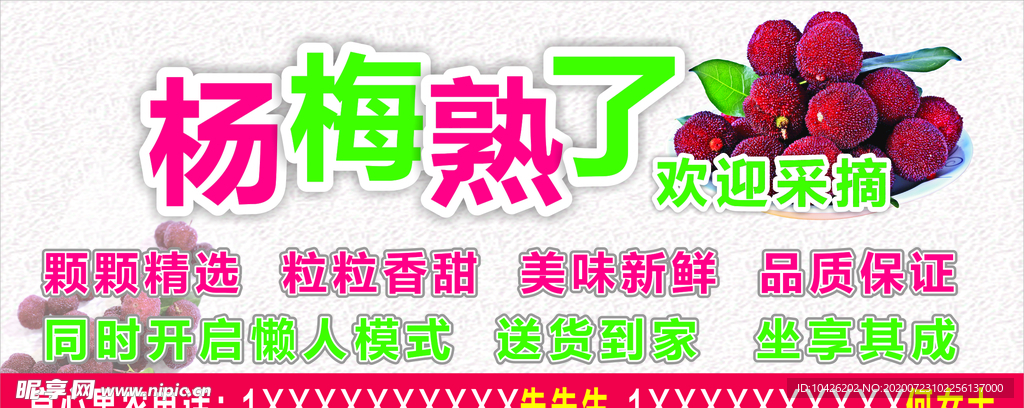 杨梅 熟杨梅  梅