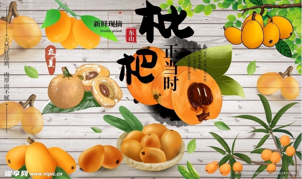 枇杷背景墙PSD模板下载