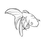 金鱼线稿