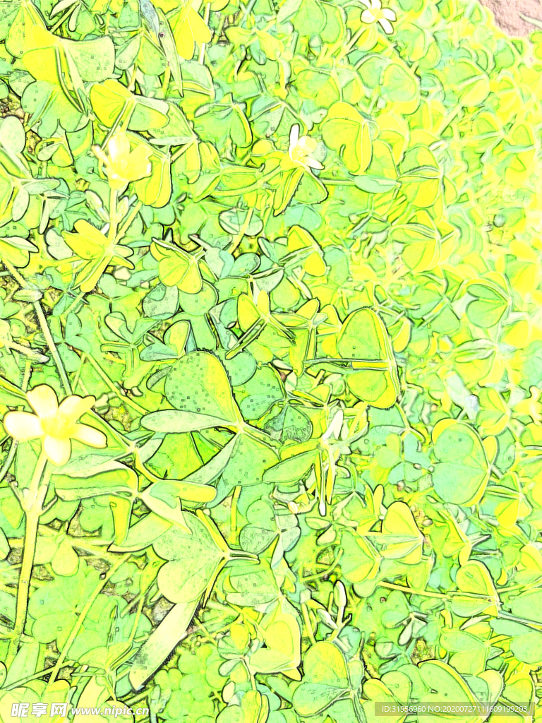 幸运草四叶草手绘风格图片