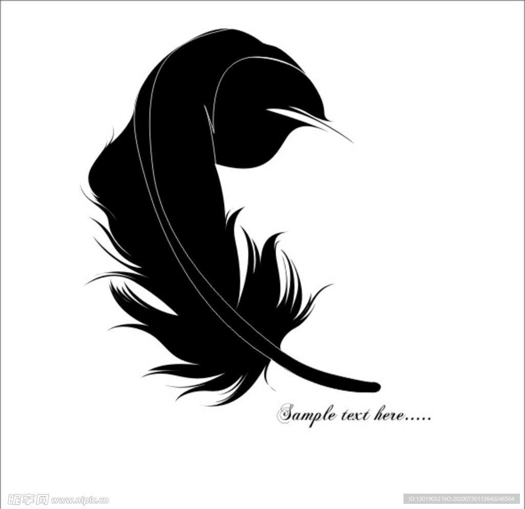 羽毛硅藻泥羽毛大羽毛