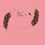 硅藻泥羽毛大羽毛