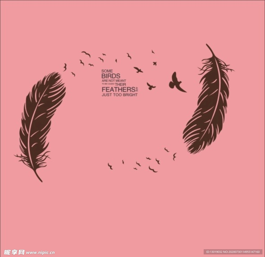 硅藻泥羽毛大羽毛