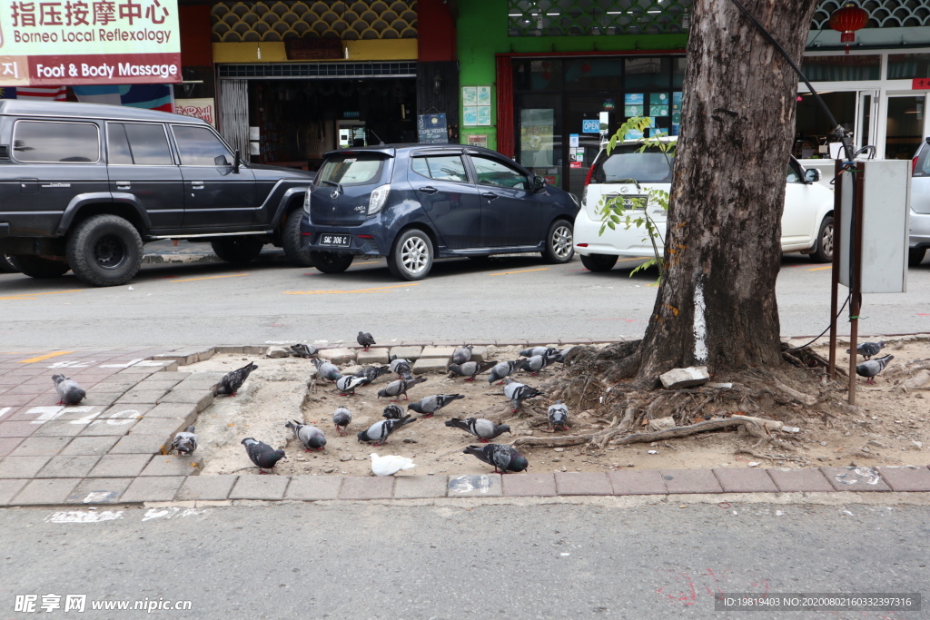 马来西亚 亚庇 加雅街 美食