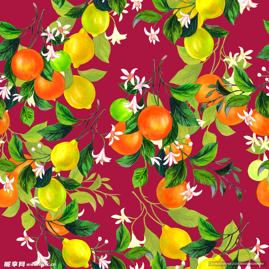 橘子凌檬柠檬花