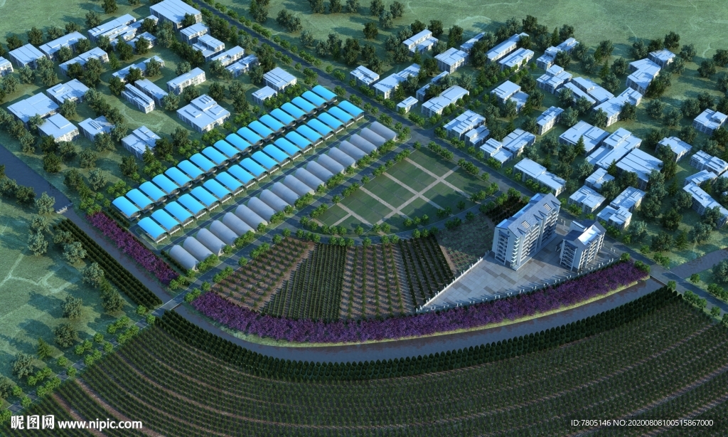 农业观光效果图