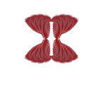 旋转 图案 红色 花纹 设计