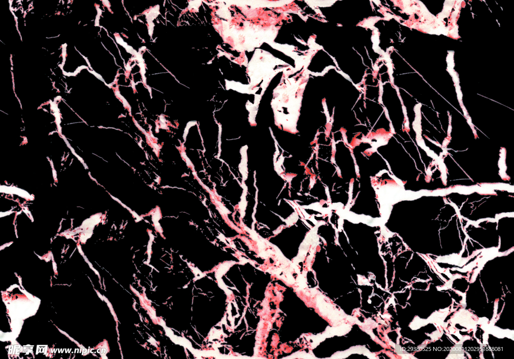 大牌 数码 印花 设计 图案