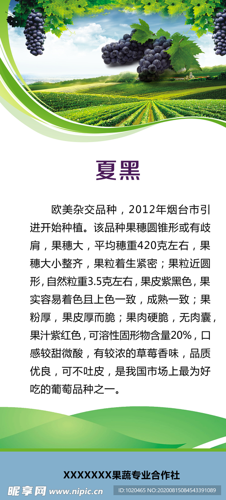葡萄产品简介展板