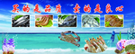 海鲜海报