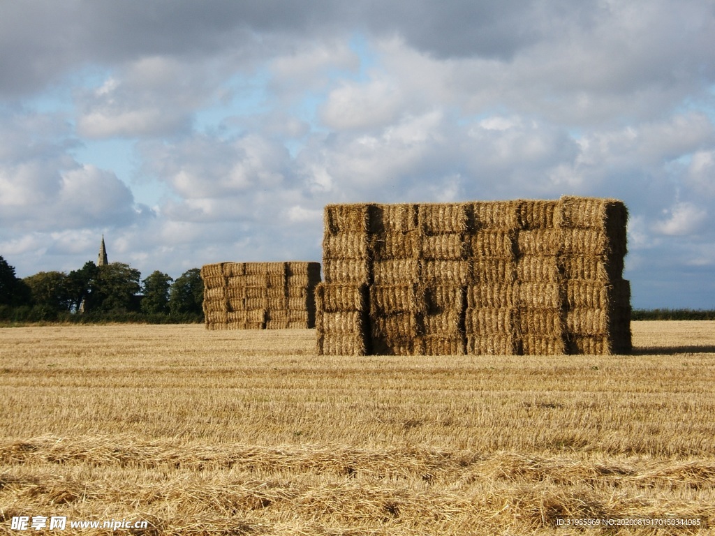 干草 天空