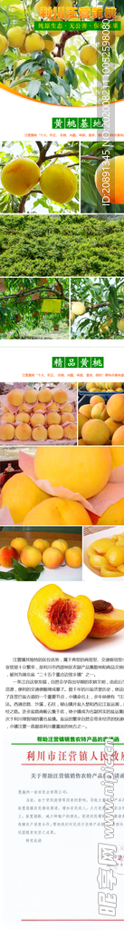 恩施利川黄桃详情页