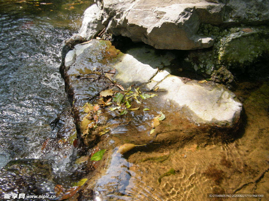 秋意盎然小溪流水