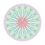 设计 防伪 超线 团花 包装