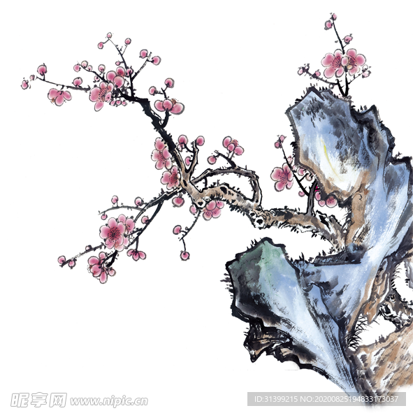 梅花素材