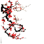 梅花素材