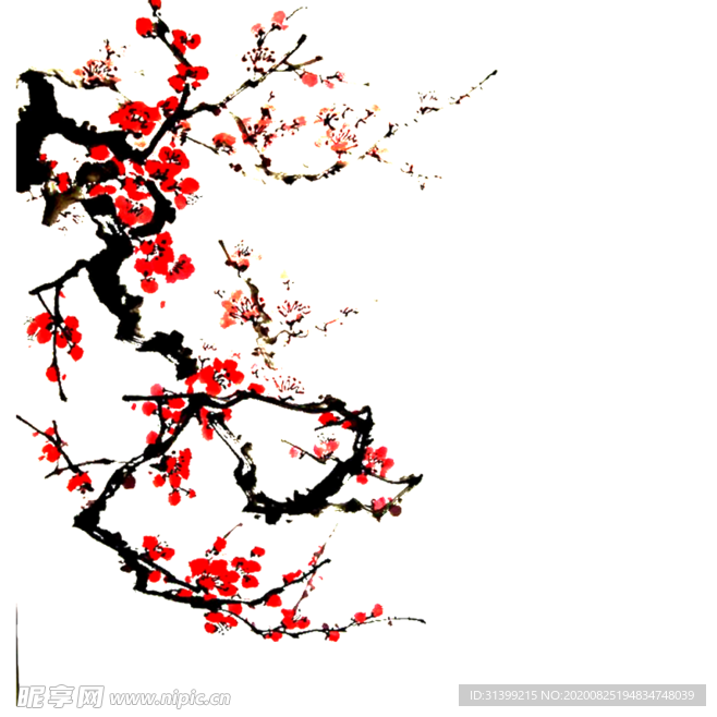 梅花素材