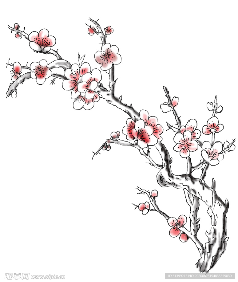 梅花素材图片