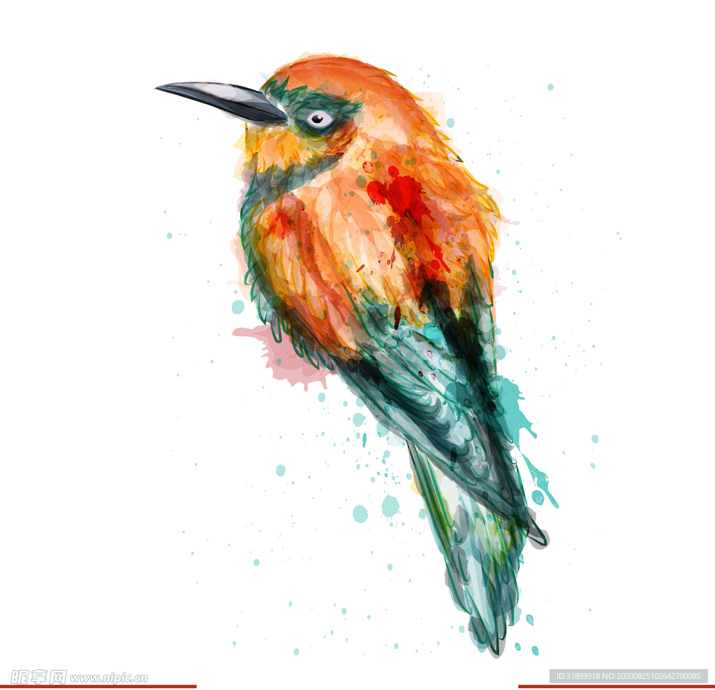 矢量动物 矢量植物 插画 手绘