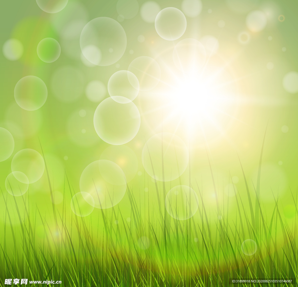 矢量动物 矢量植物 插画 手绘