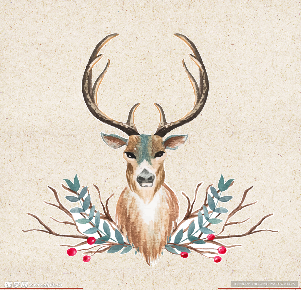 矢量动物 矢量植物 插画 手绘