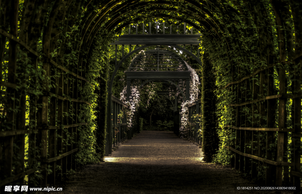 地洞拱门草门花草走廊桌面壁纸