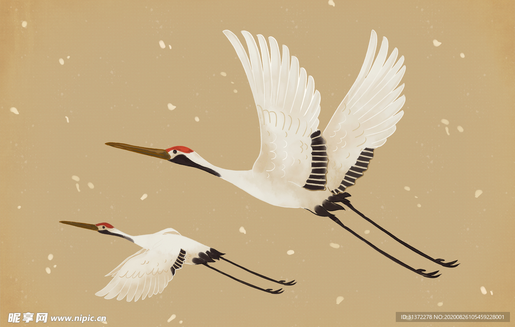 仙鹤海报背景图片