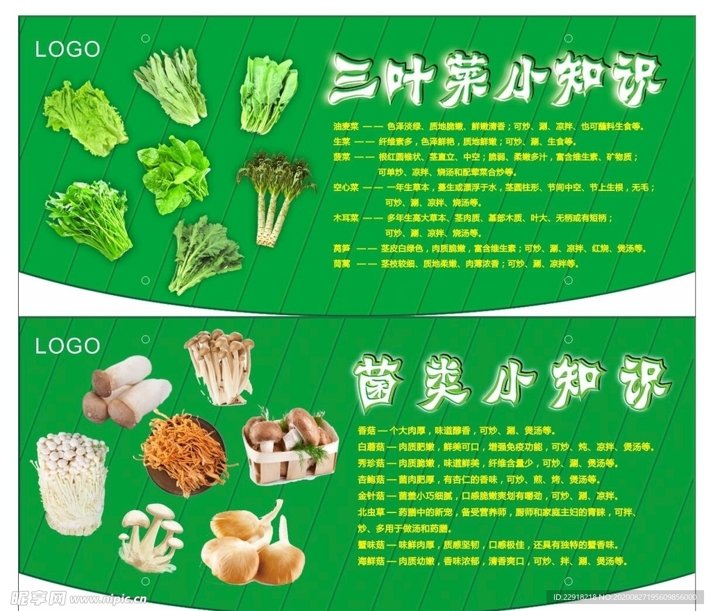蔬菜简介展板