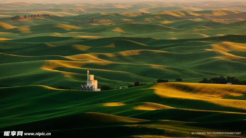沙漠 荒漠 干涸 风沙 黄沙