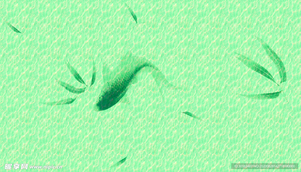 鲤鱼 效果  海洋