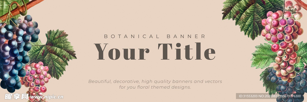 水果 葡萄 底纹