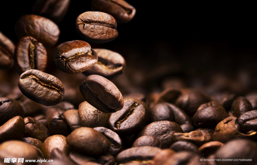 咖啡豆高清摄影图片