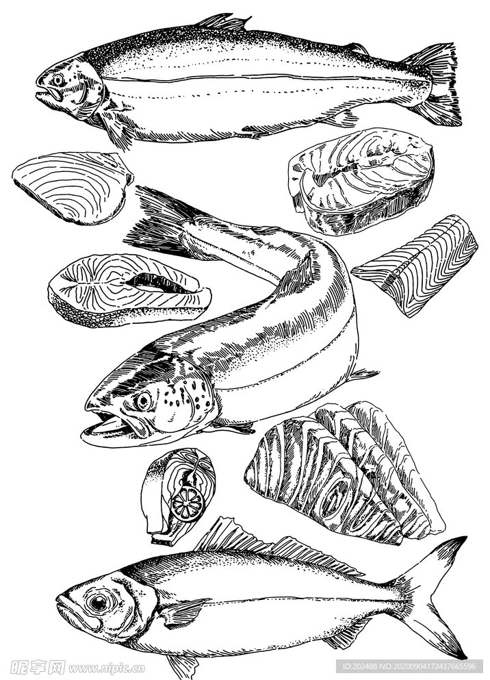 三文鱼食材海鲜刺身