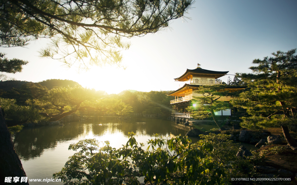 自然风景树林摄影图