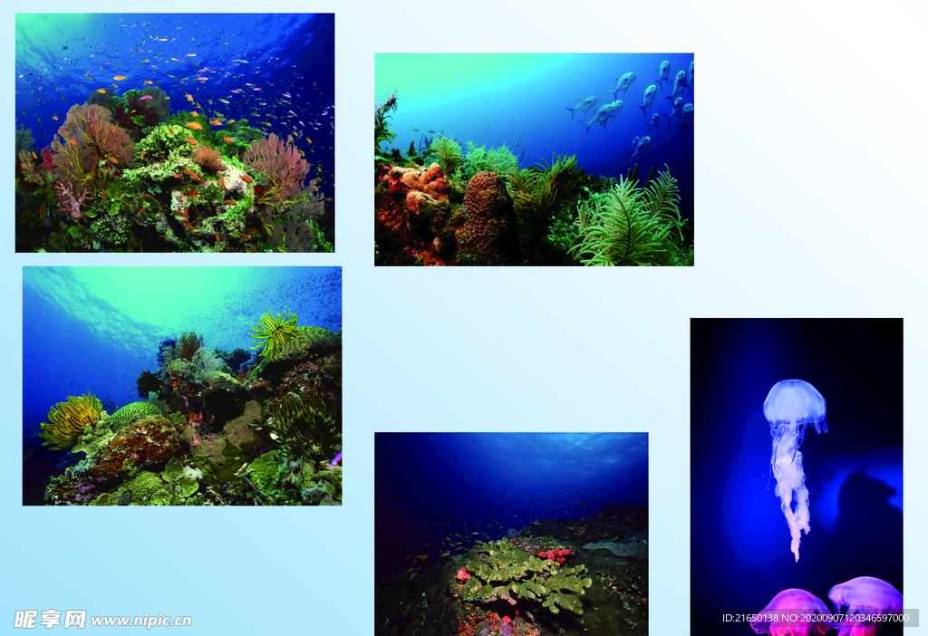 海底世界风景