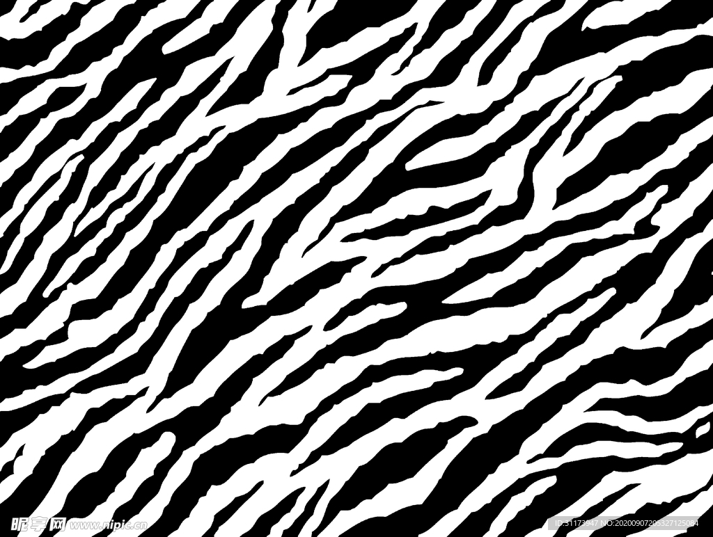 大牌 斑马纹 豹纹 印花