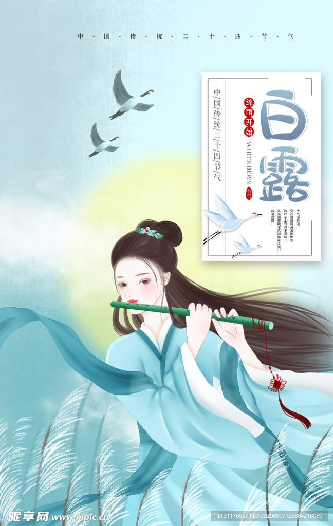 白鹭背景海报模板