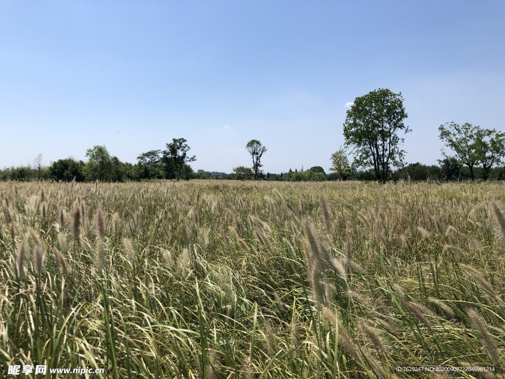 良渚遗址公园景观