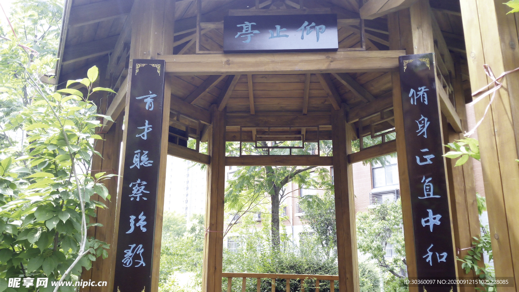 校园图片 校园风光 校园操场