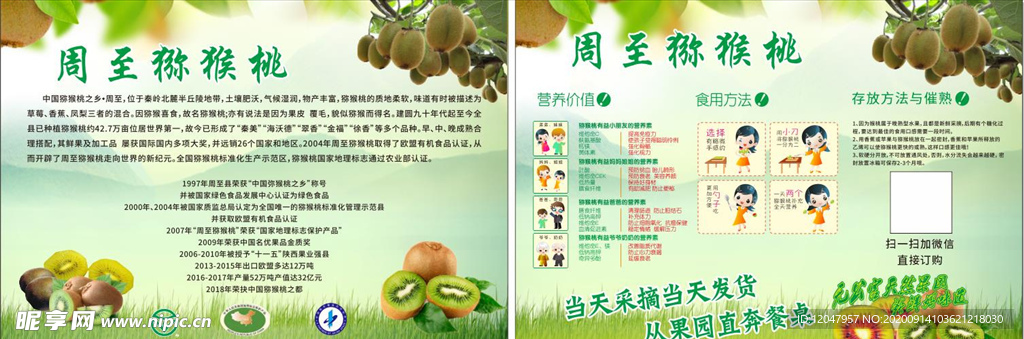 猕猴桃宣传单
