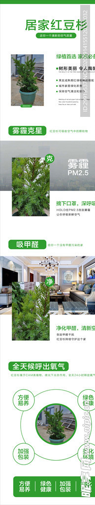 红豆杉详情页