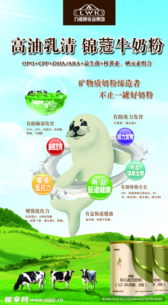 力维康锦蔻奶粉