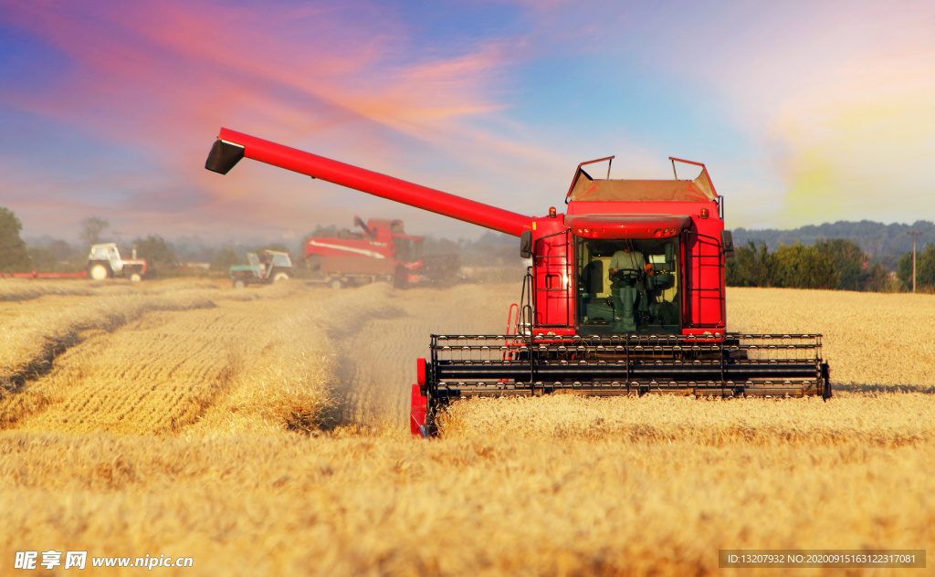 联合收割小麦