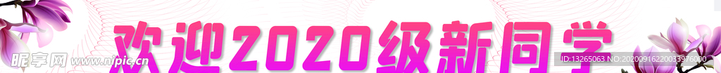 欢迎新同学 玉兰花 迎新横幅